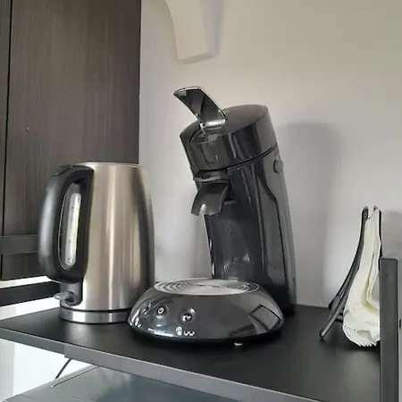 Lumineux Avec Parking Privé